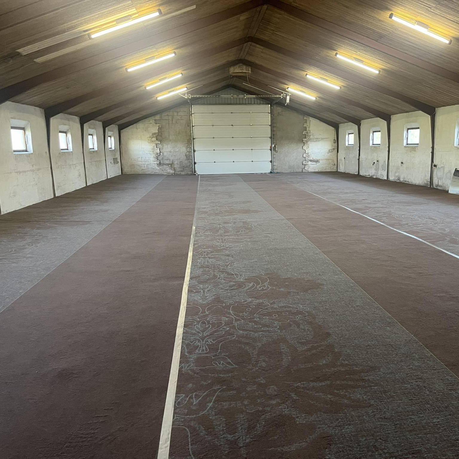 Ekstra hund pr. time