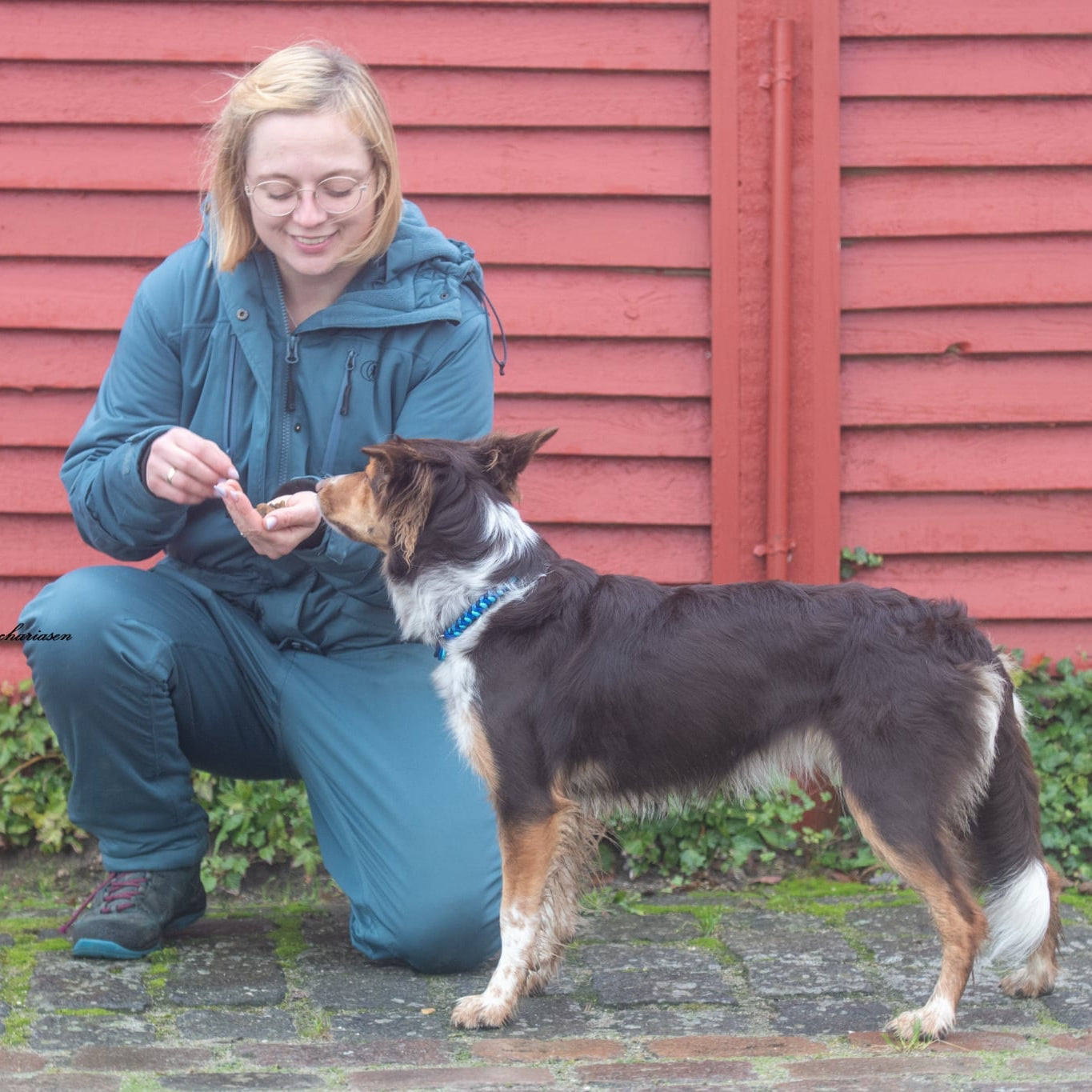 Impuls Kontrol v/ Zara Holst Zachariassen