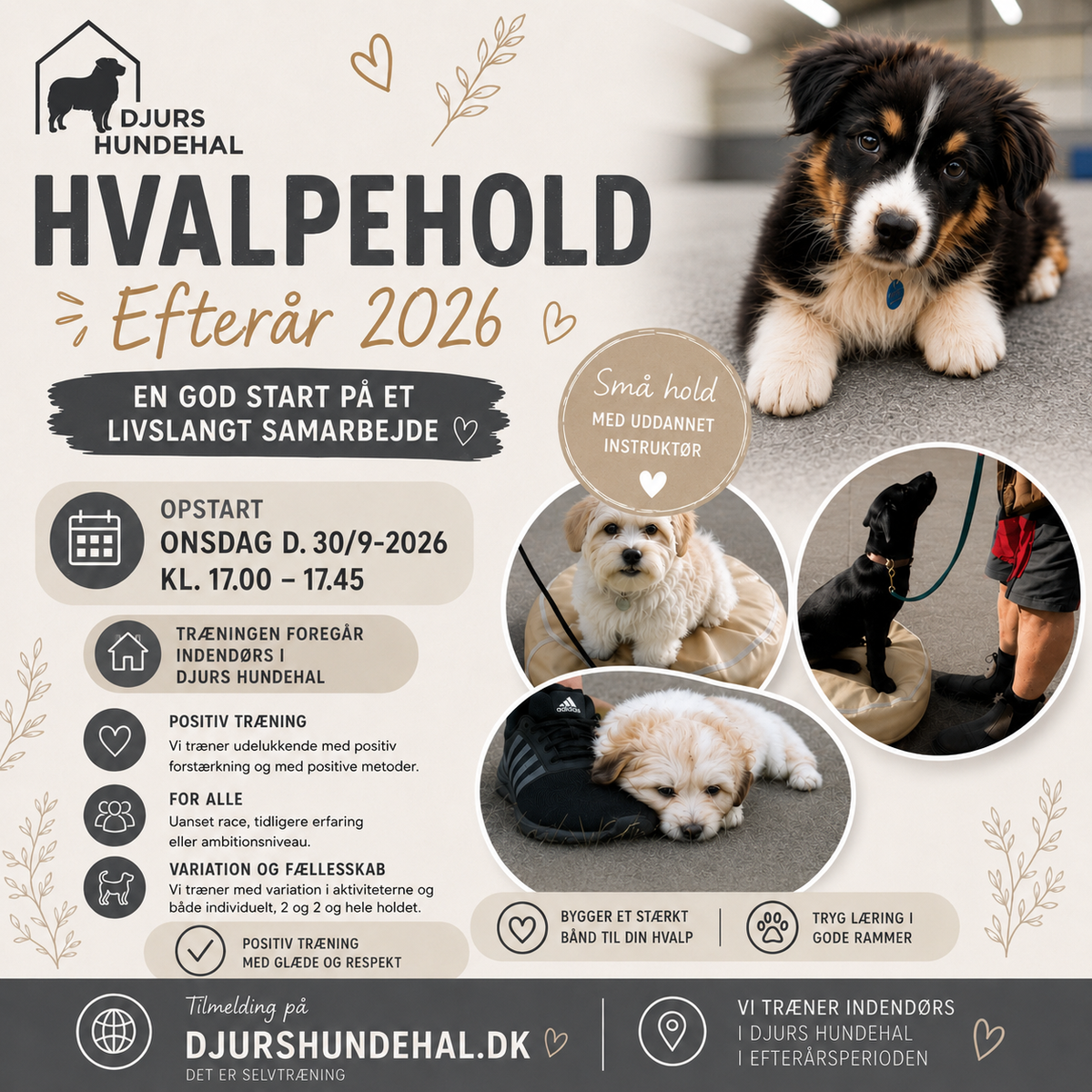 Onsdagshold - Hvalpe/Begynder - INDENDØRS
