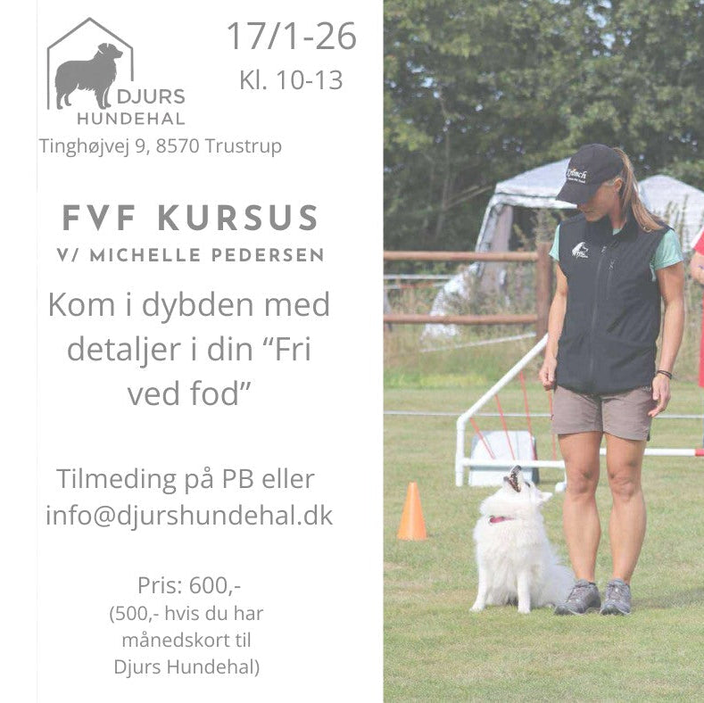 "Fri ved fod" Kursus v/ Michelle Pedersen