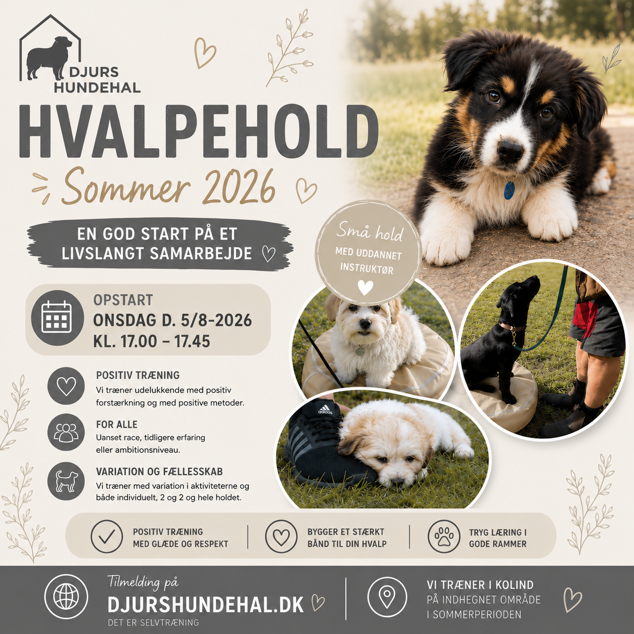 Onsdagshold - Hvalpe/Begynder - UDENDØRS