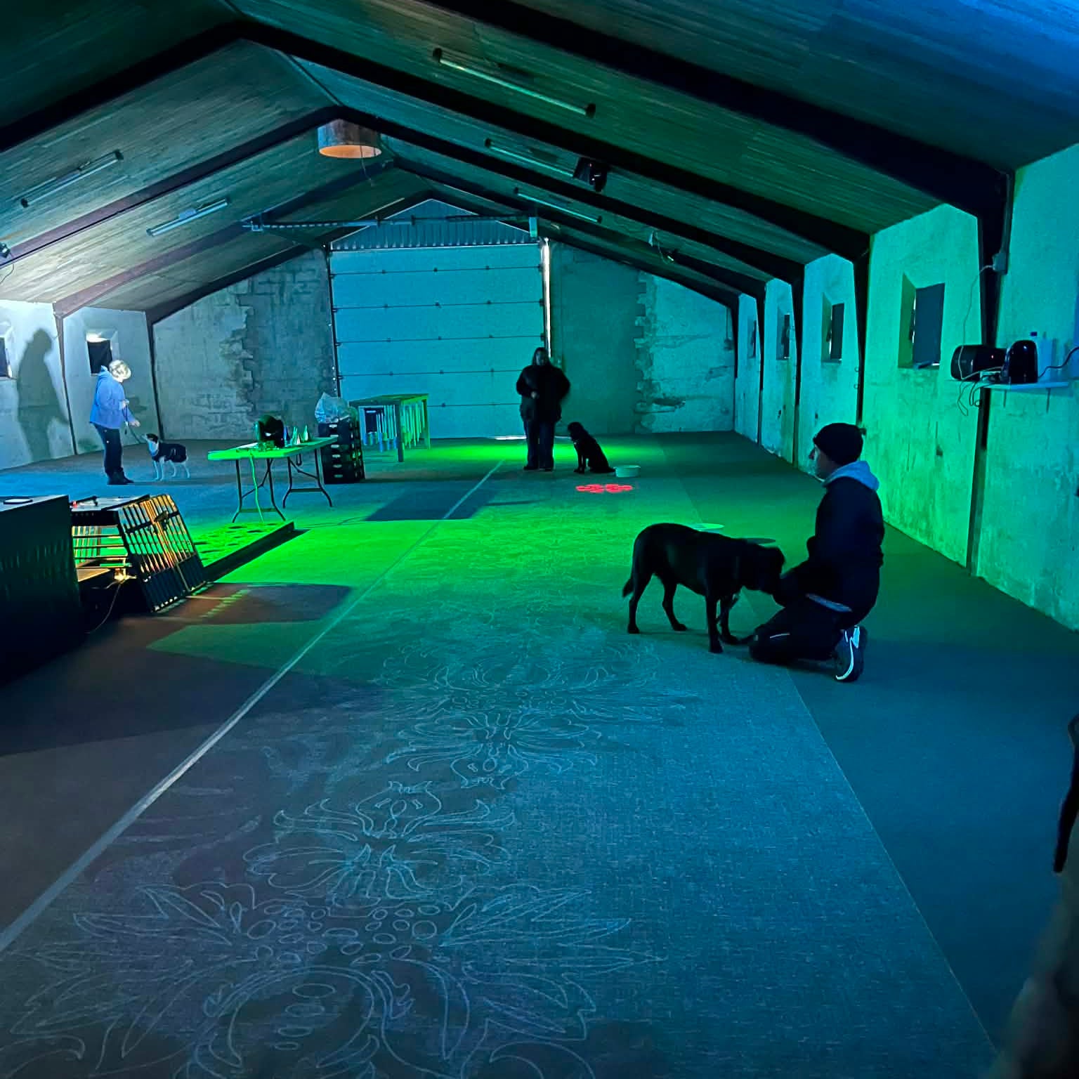 Miljø-, Lyd & Lysforløb 3 måneder