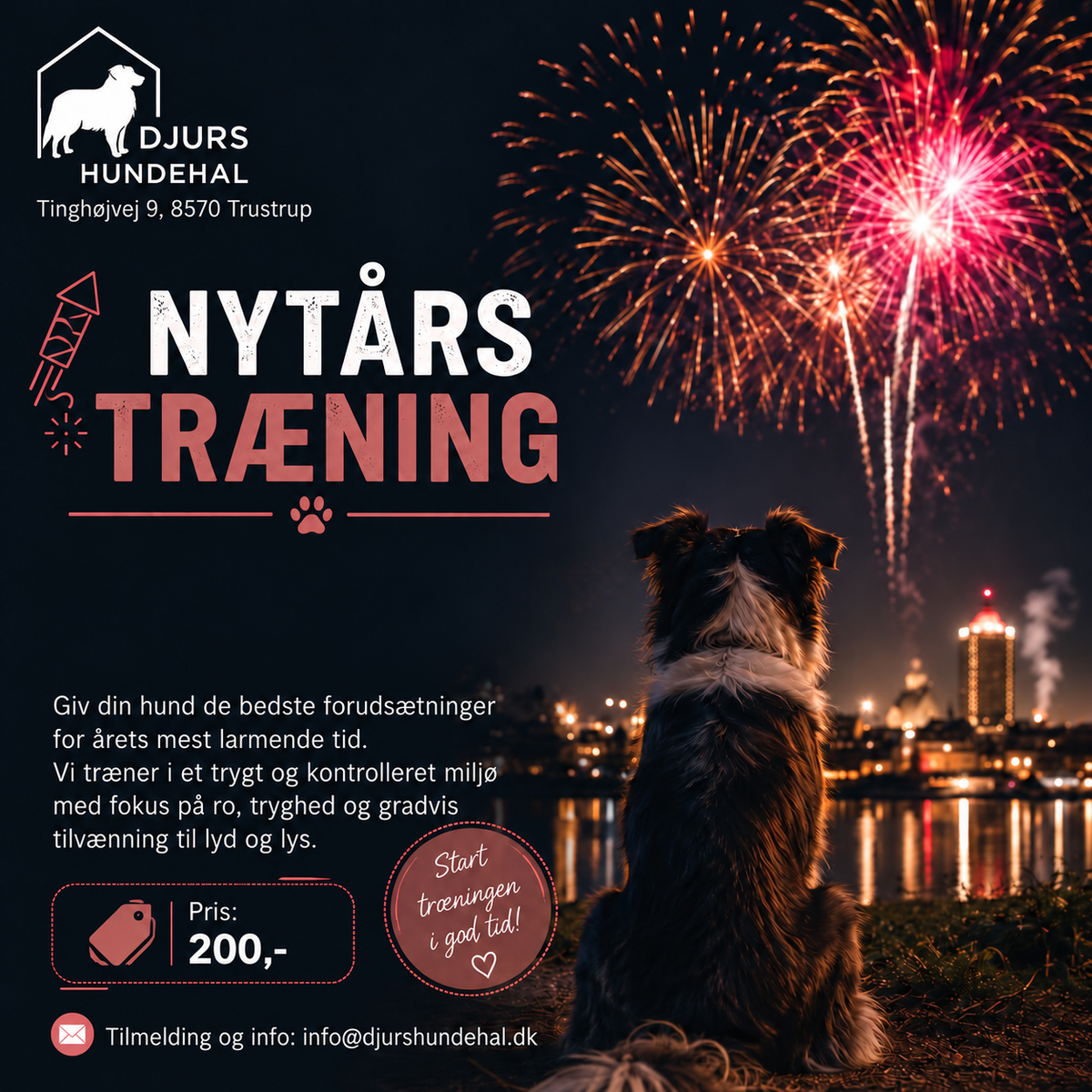 Nytårstræning for hunde – fyrværkeri, lyd & lys | 31/10-26 | Kl. 13.00