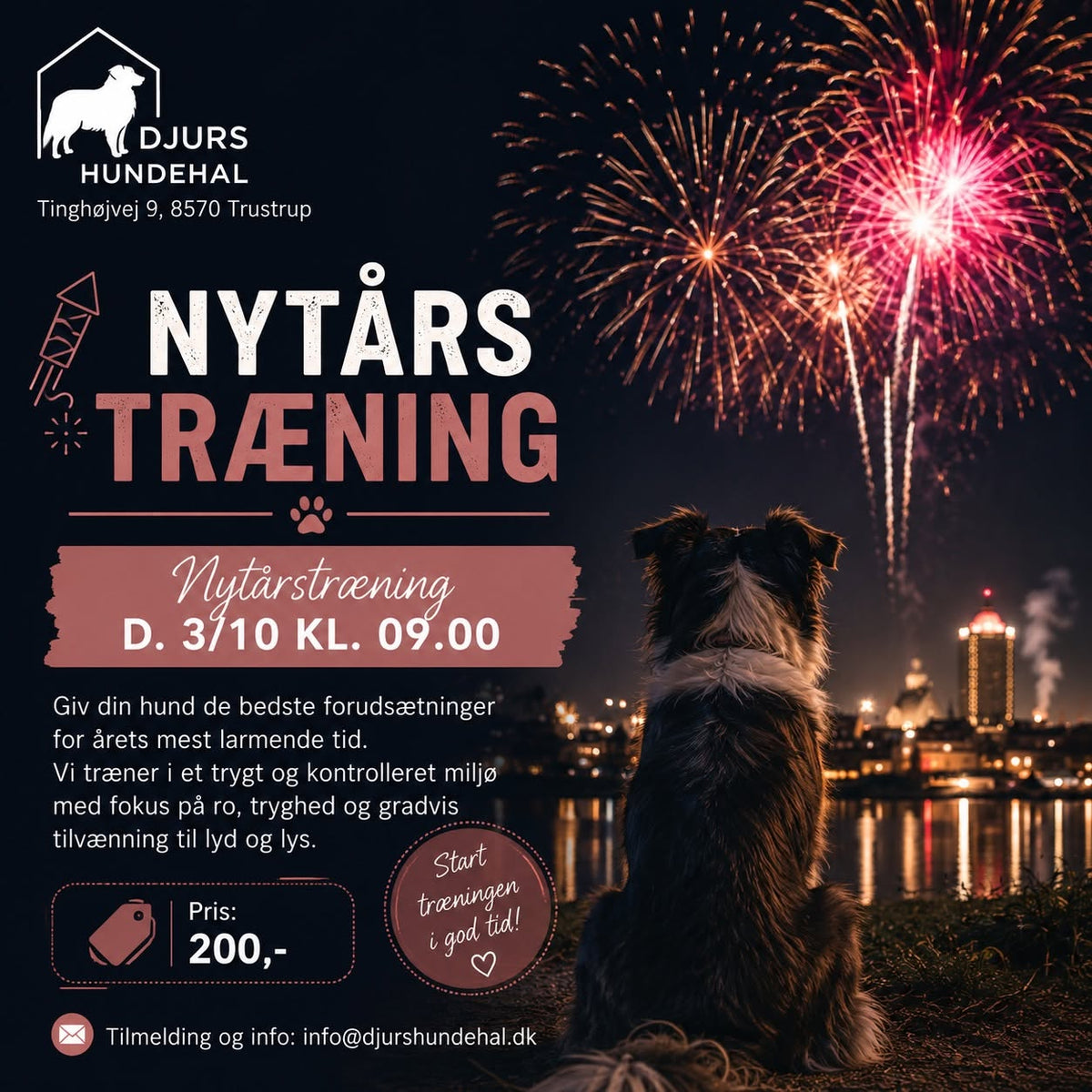 Nytårstræning for hunde – fyrværkeri, lyd & lys | 3/10 | Kl. 09.00